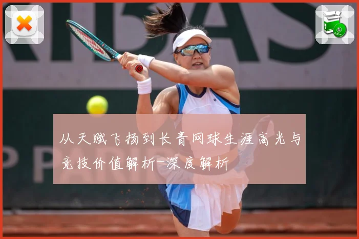 从天赋飞扬到长青网球生涯高光与竞技价值解析-深度解析