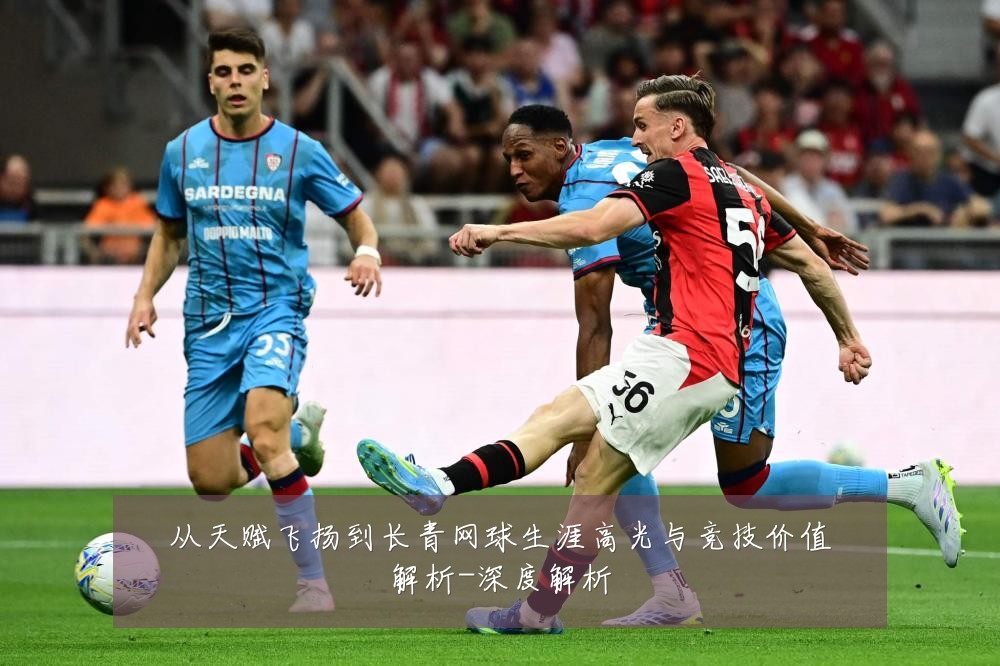 从天赋飞扬到长青网球生涯高光与竞技价值解析-深度解析