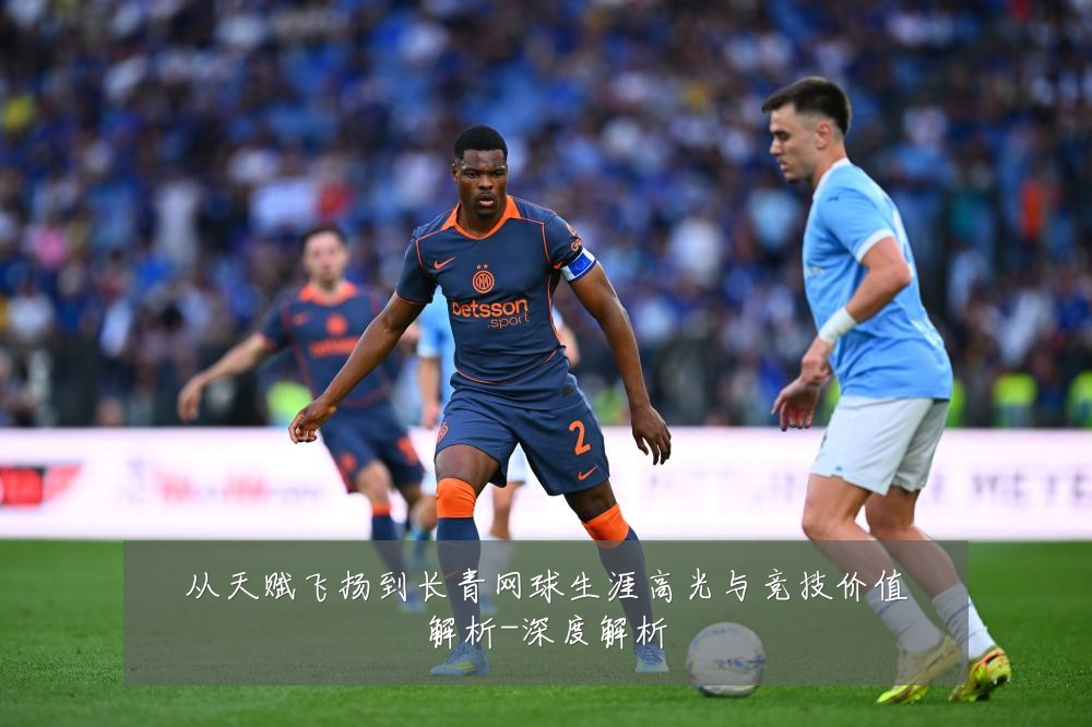 从天赋飞扬到长青网球生涯高光与竞技价值解析-深度解析