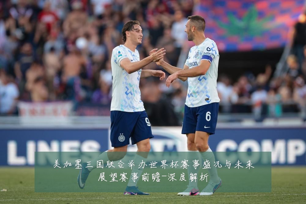 美加墨三国联合举办世界杯赛事盛况与未来展望赛事前瞻-深度解析